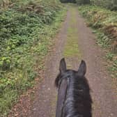 Horse riding on The Wrekin