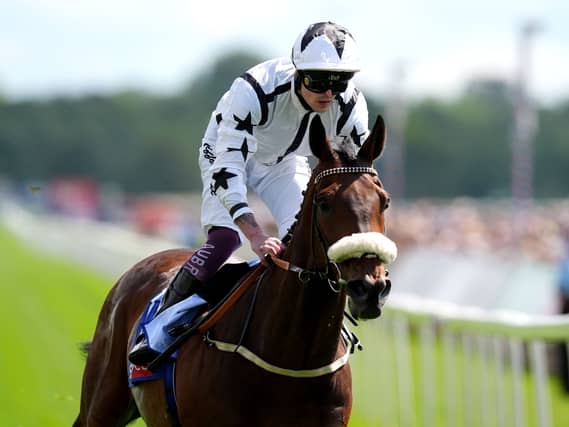 Al Qareem has been a great servant for connections