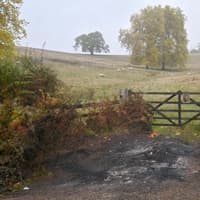 Major update on identity of body found in burnt-out car as police say 'no suspicious circumstances'