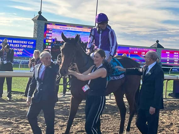 Ryan Moore returns on Sun Goddess