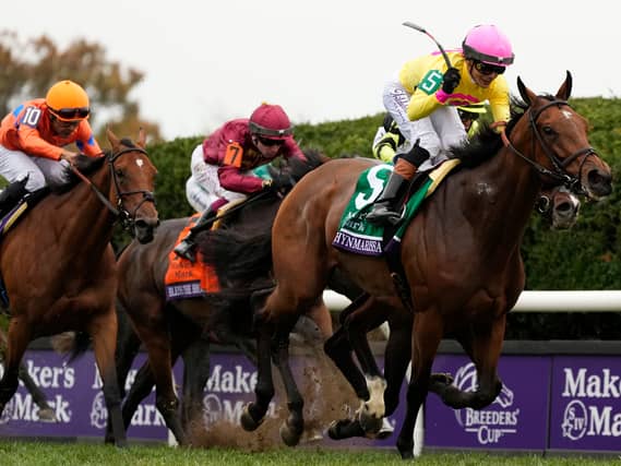 Jose Ortiz (5) rides Kathymarissa to victory in the Breeders’ Cup Filly & Mare Turf