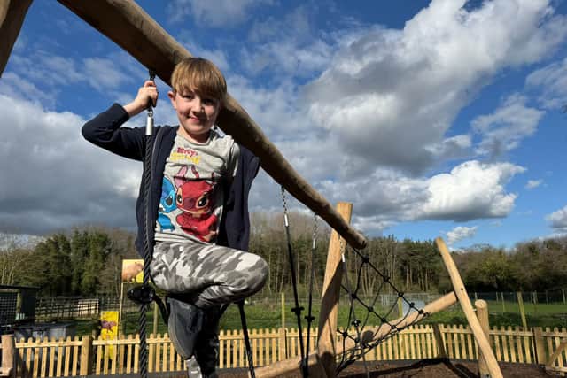 The new 'Lemur Play' is adjacent to a free roaming habitat for endangered, Ring Tailed Lemurs.