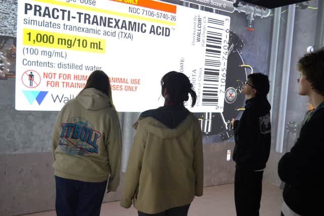 Learners in the immersive classroom