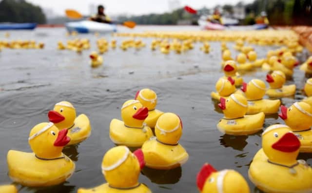 Ludlow Duck Race