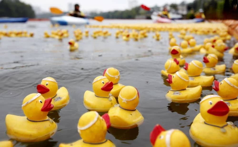Ludlow Duck Race