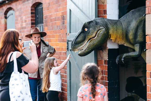 Meet dinosaurs every day during half term