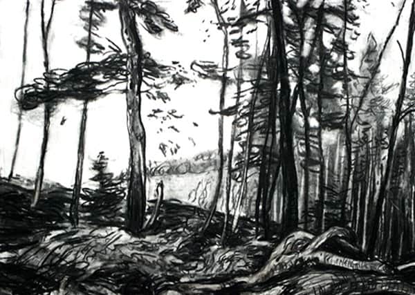 Mary Knoll: Mortimer Woods