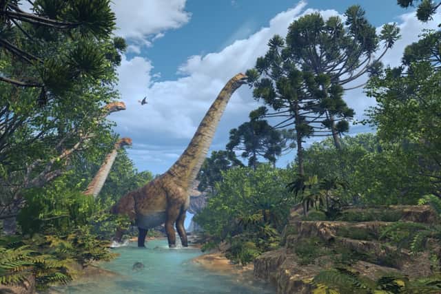 Sandbox VR age of dinosaurs
