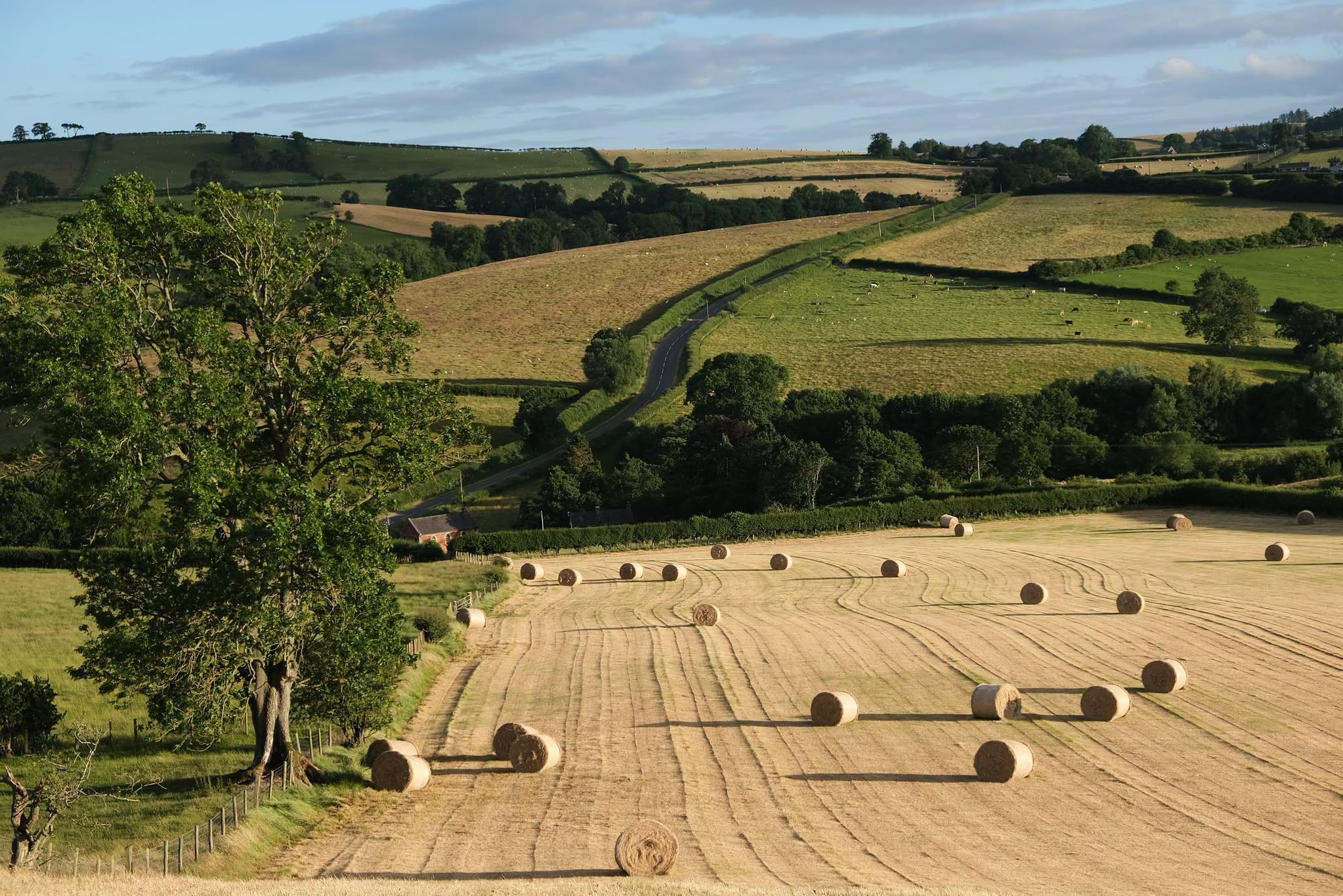 Hadge Rows Shropshire countryside festival to feature hedgelaying, wildlife walks ...