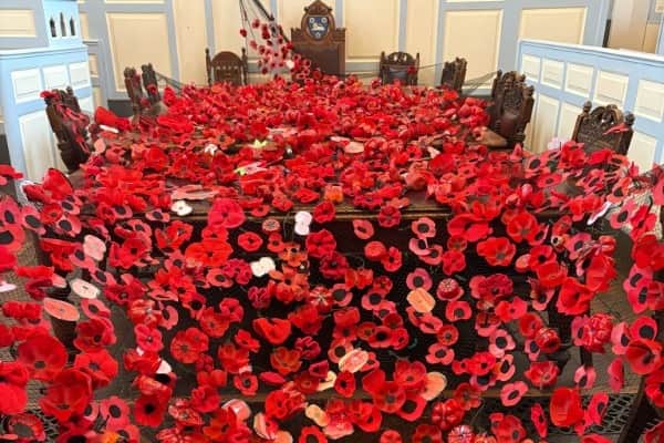 Poppy waterfall in creation
