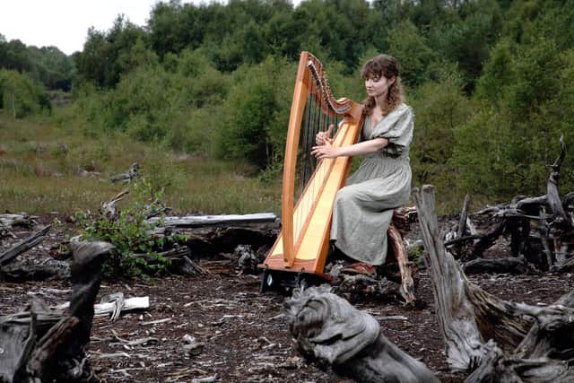 Becki Luff Harpist