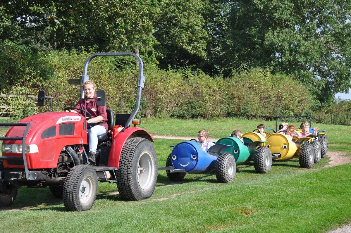 Park Hall countryside attraction has lots of fun activities on offer.