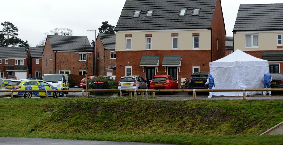 Farmers Gate is part of a new housing estate in Newport