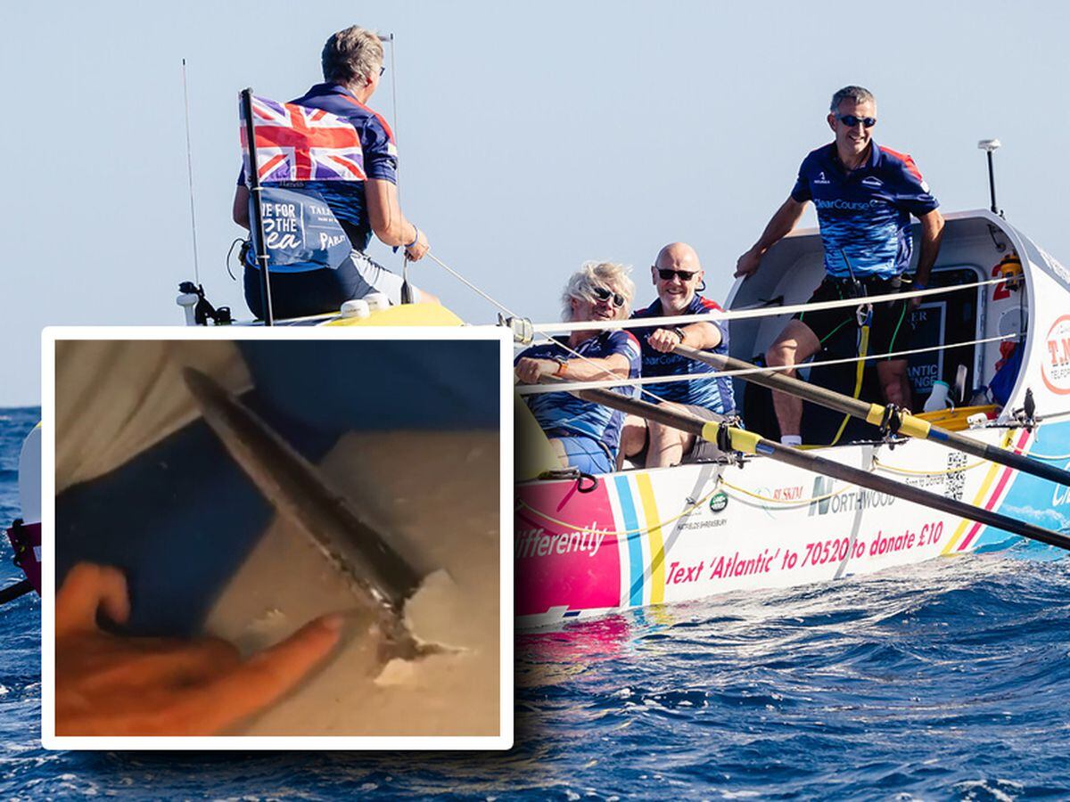 The Wrekin Rowers have been delayed after their boat was pierced by a marlin. Inset is a photo of a marlin strike on a different Atlantic rowing boat