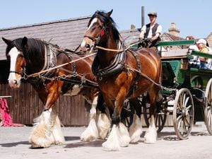 Heavy Horse Weekend at Blists Hill 