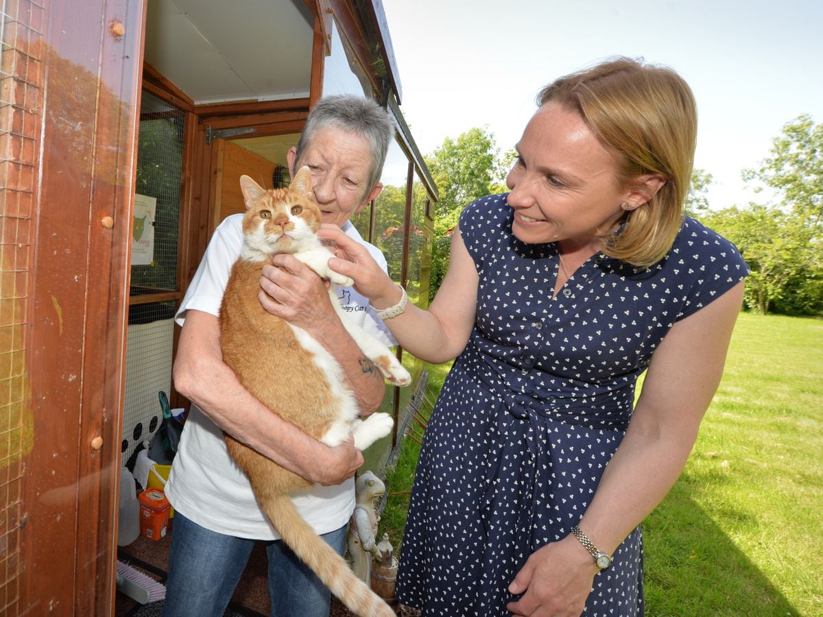SHREWS PIC MNA PIC  DAVID HAMILTON PIC SHROPSHIRE STAR 17/6/22  With 'Cheeko' the cat, and founder Eve Dodds, is (right) Helen Morgan MP, during her visit at Sleapy Cat Rescue, Sleap..