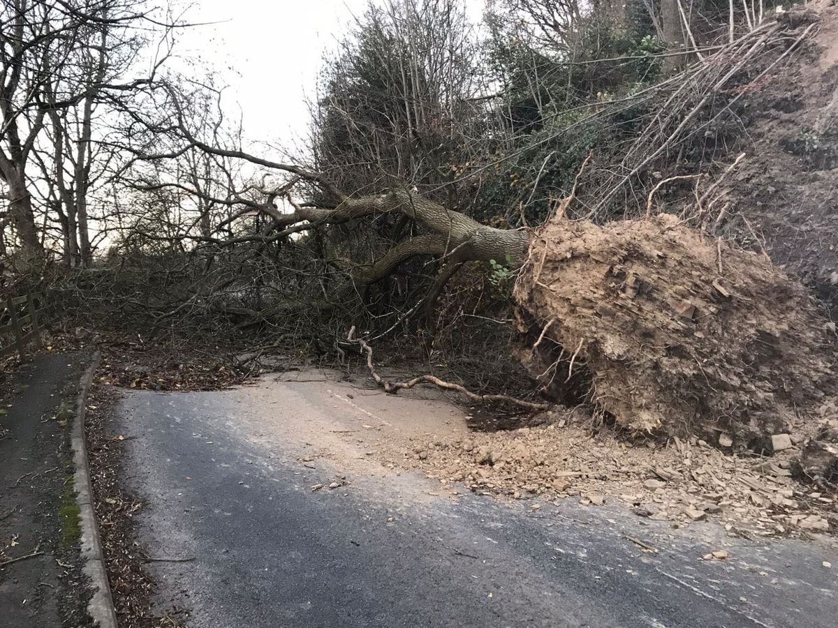 The road from Montgomery to Garthmyl was closed due to a fallen tree 