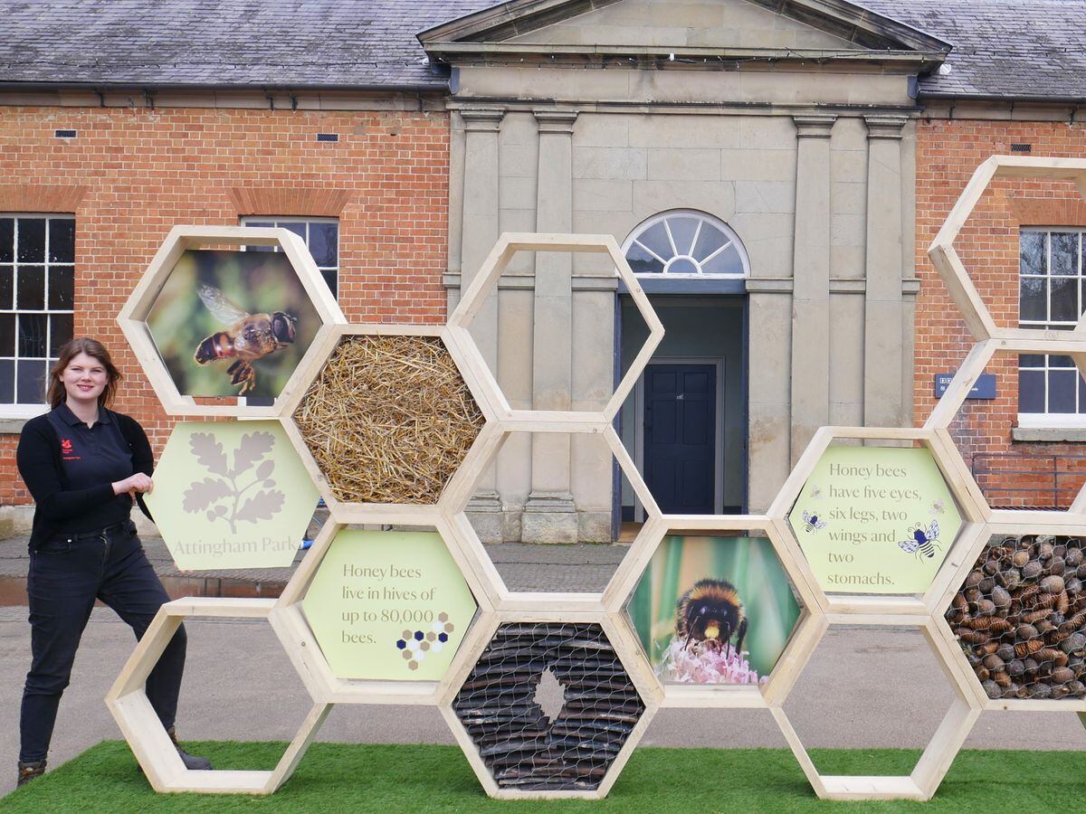  The Bee Adventurous Trail is part of the Easter activities at Attingham Park.