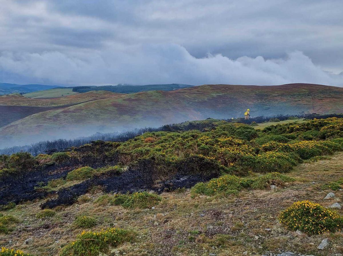 The gorse and undergrowth fire on the Long Mynd