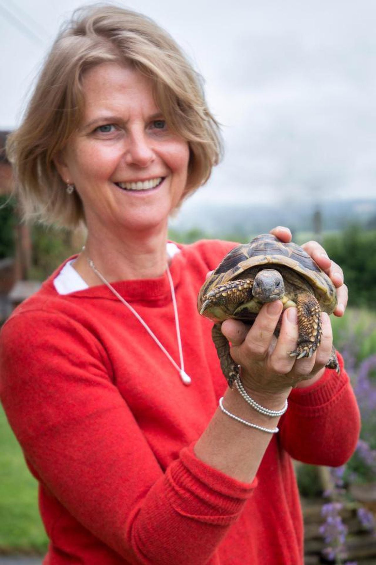 Arnie the runaway Shropshire tortoise turns up after TWO YEARS 