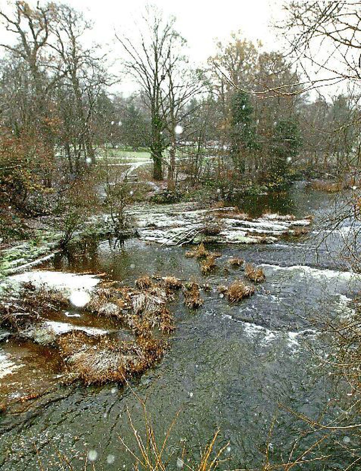 The River Severn flows through Newtown
