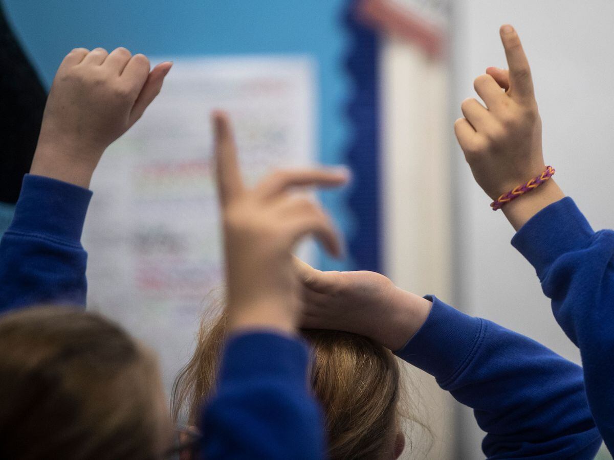 School pupils hands raised