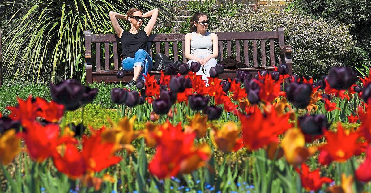 Visitors to Holland Park, London, enjoy the sunshine amongst banks of tulips. Picture date: Saturday April 30, 2022. PA Photo. Photo credit should read: Jonathan Brady/PA Wire.