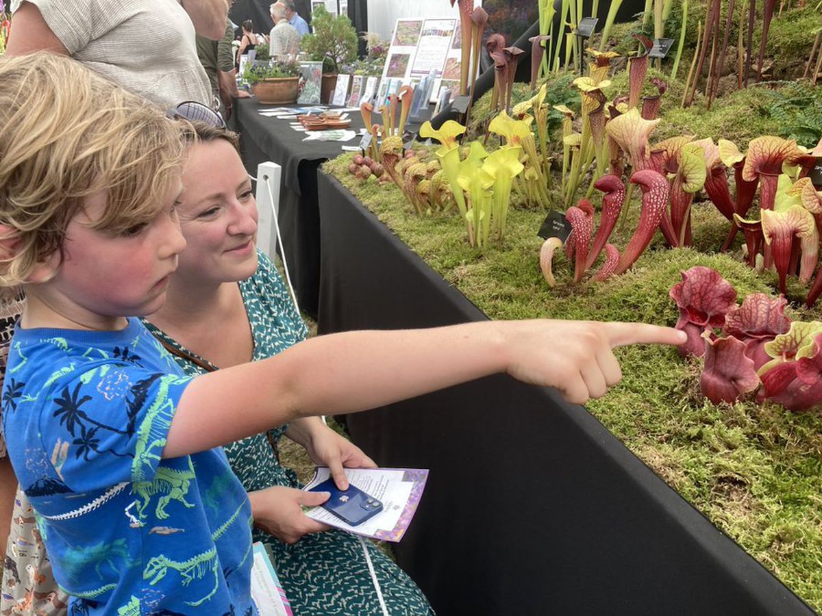 admiring the carnivorous plants that won the main trophy, six year old Rowan and Mum, Jeanette from Shrewsbury