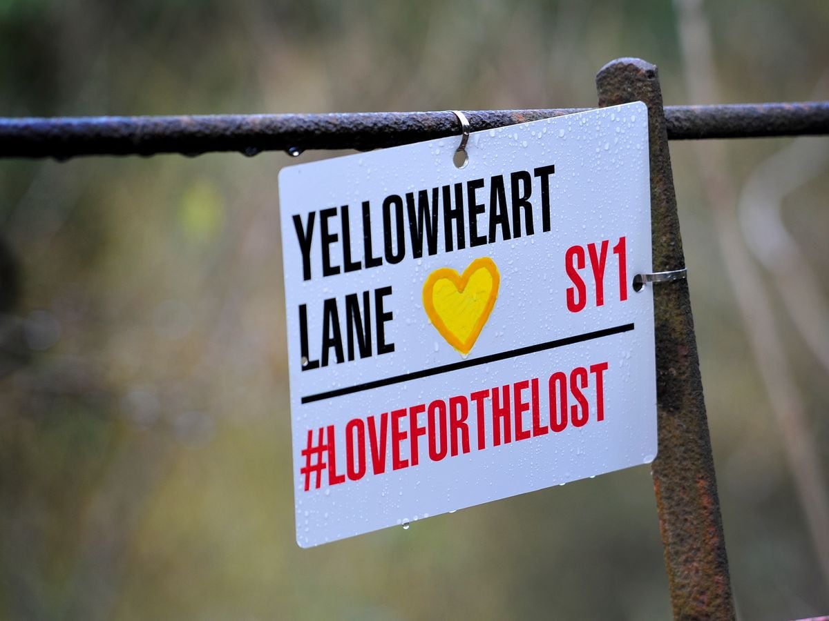 SHREWS COPYRIGHT EXPRESS&STAR TIM THURSFIELD-22/02/21.A footpath off Onslow Drive, Shrewsbury, has been 'renamed' Yellowheart Lane, after yellow hearts have been placed along the route in memory of the people who have died from Covid........