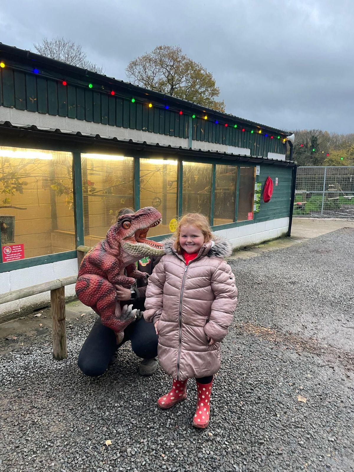 Hoo Zoo & Dinosaur World's Snow Princess Christmas