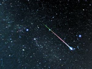 Star Witness: Perseid Meteor Shower