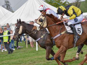 Point to Point racing in Shropshire