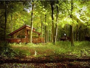 Wooden eco cabins are planned for Mortimer Forest 