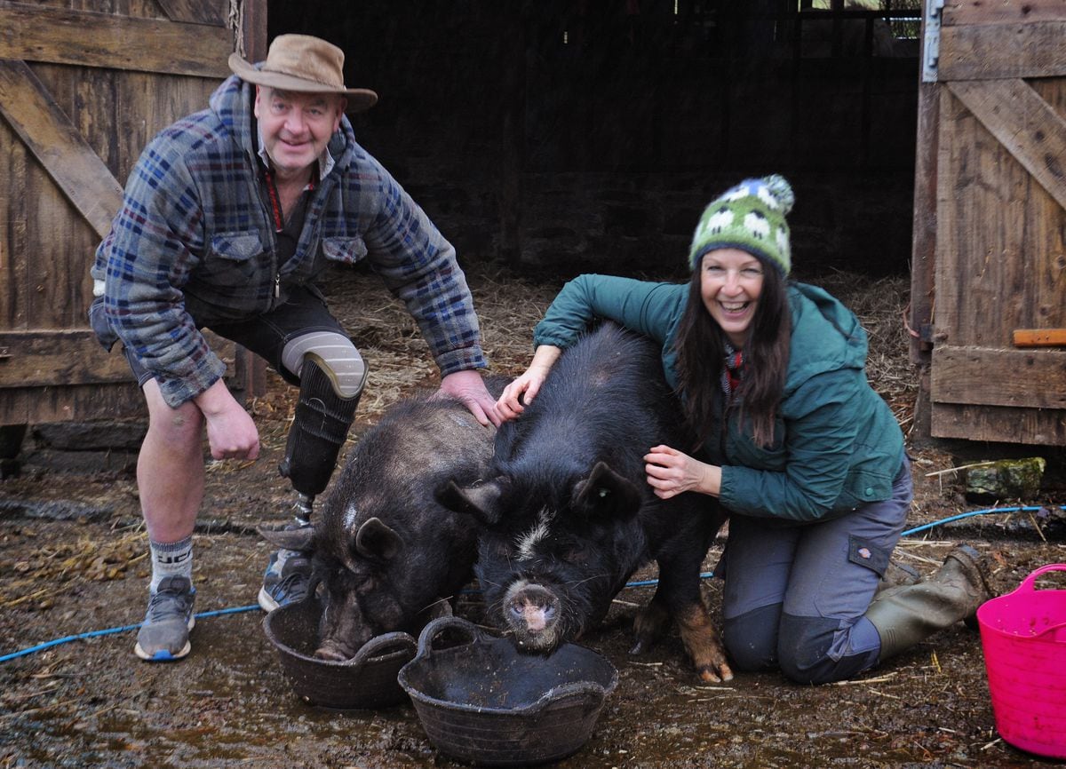 Safe and sound: James Gomersall and Tina Harkin, at Brookhouse Animal Sanctuary with pigs Priscilla, left, and Truffles 