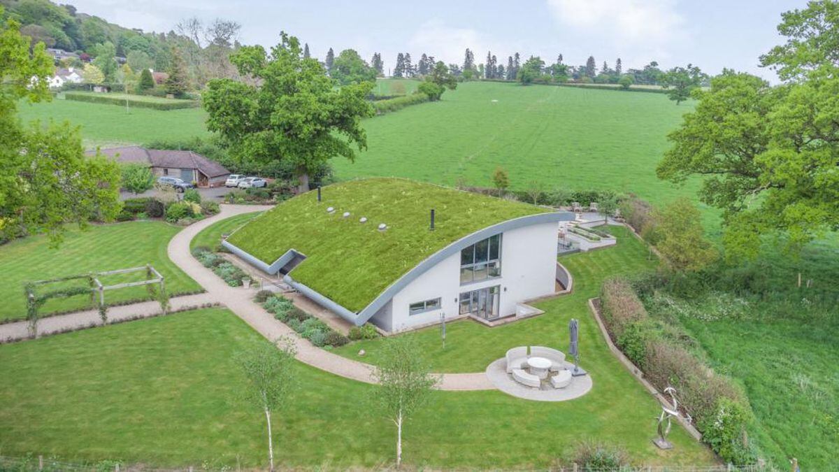 The house has a 'living roof'. Photo: Strutt & Parker/Rightmove