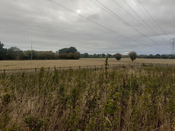 The site of the Battle of Shrewsbury as it appears today, peaceful but bleak
