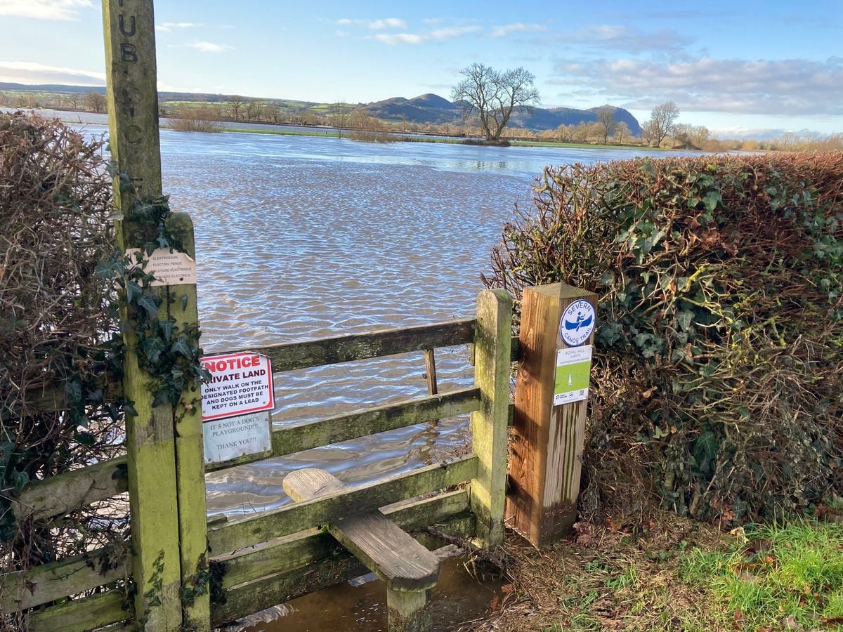 Flooded fields at Royal Hill, Edgerley, Oswestry. Picture: Sue Austin