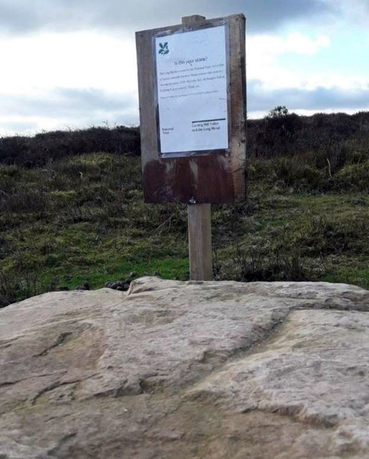 A sign placed next to the mystery rock. Photo: National Trust.