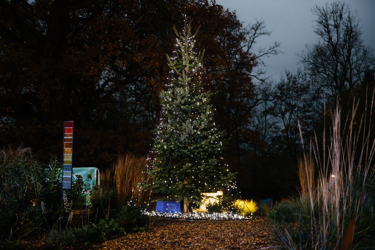 The tree at the hospice is lit up for the festive period