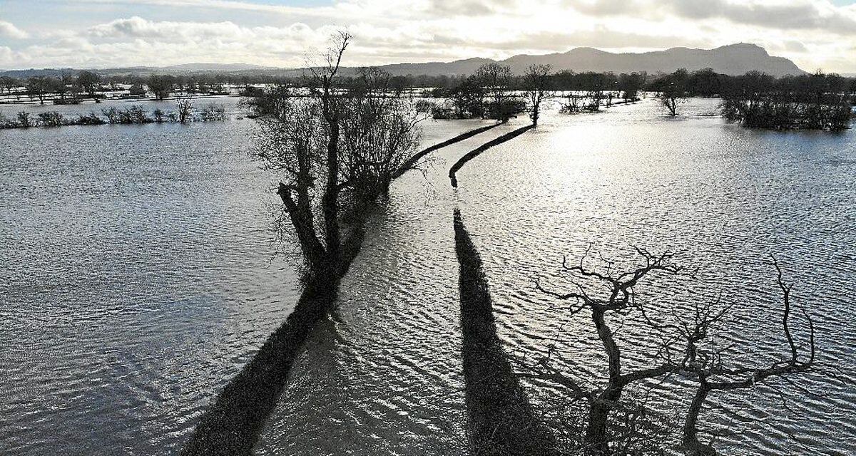 Flooding at Melverley. Photo: Chris Aitken 