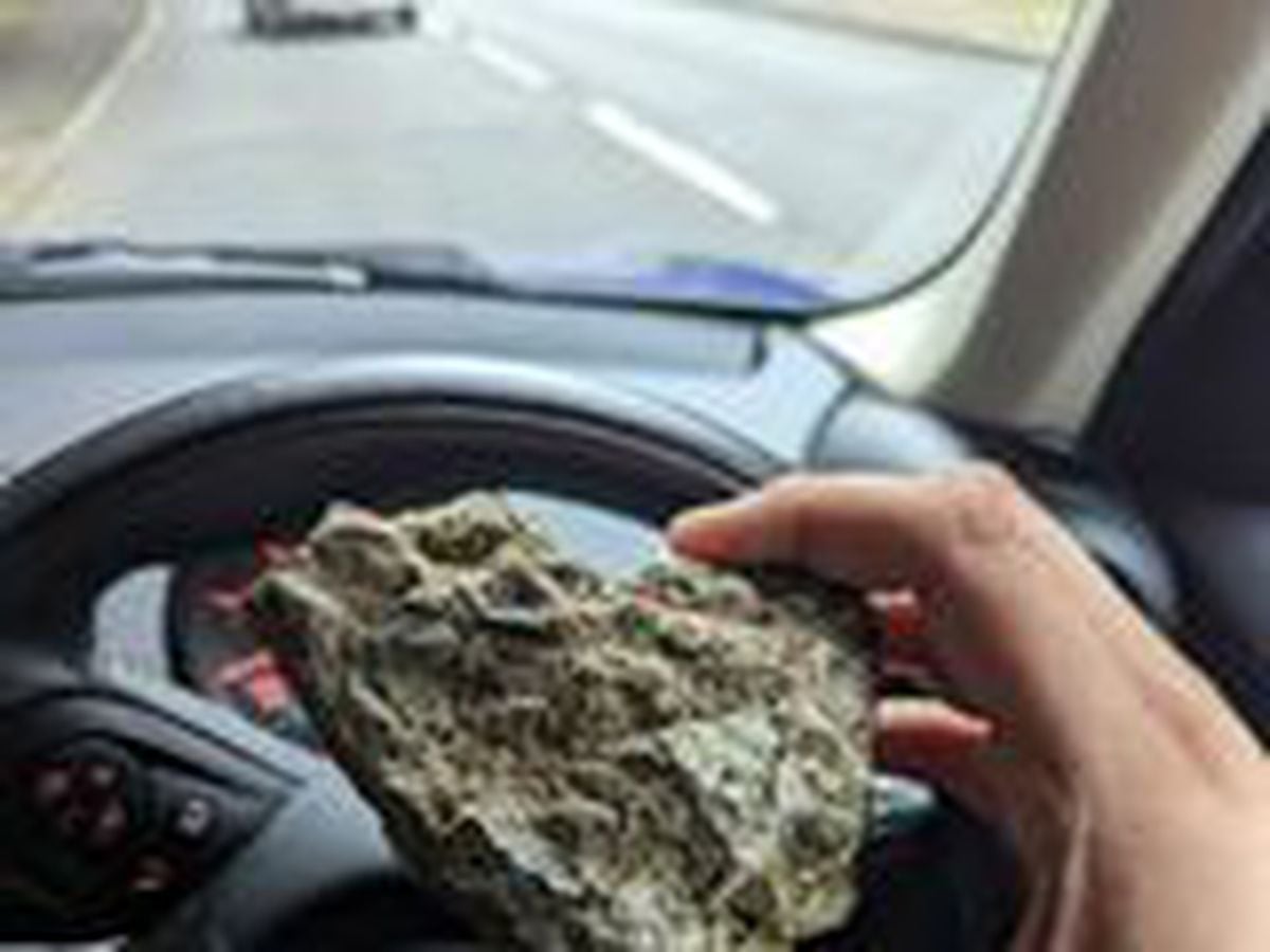 The rock which hit the bus