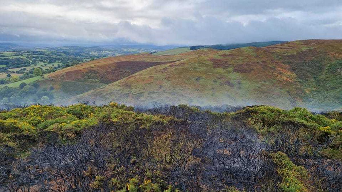 The gorse and undergrowth fire on the Long Mynd. photo: Church Stretton Fire Station