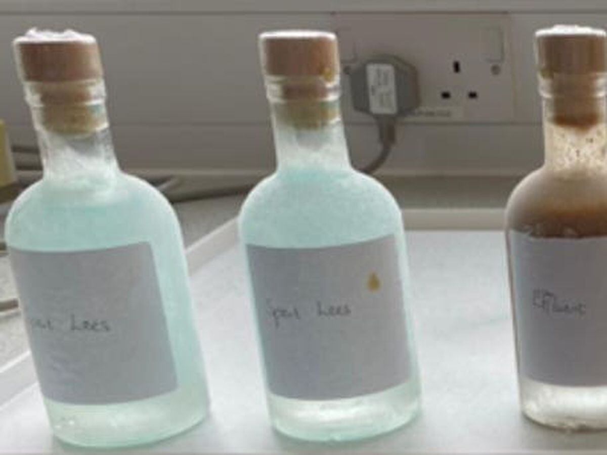 Sample bottles used in the experiment