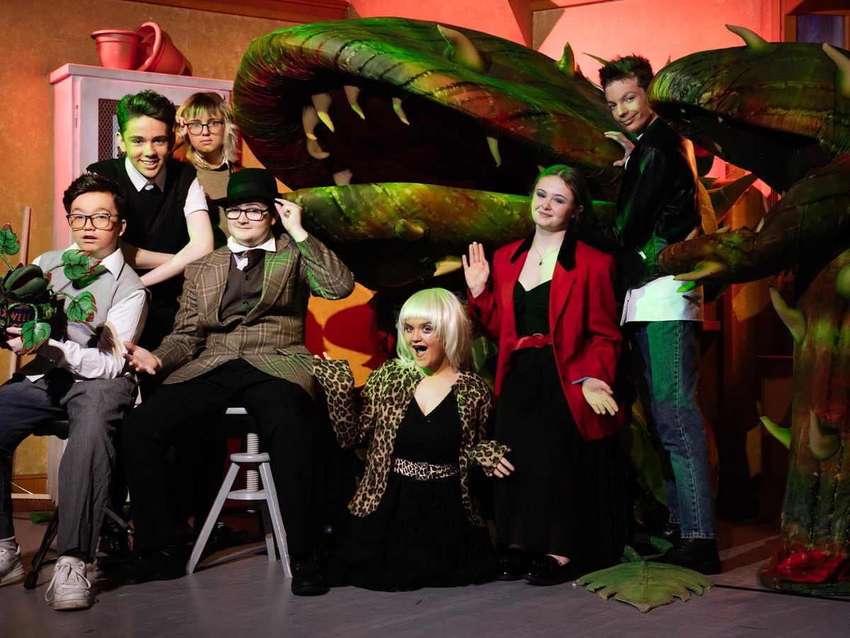 Telford Priory School are putting on a show of Little Shop of Horrors