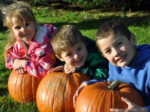 Pumpkinfest will be returning to Park Hall