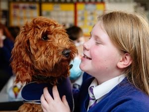 Mr Wilko the Cockapoo with student Megan Hall age 11