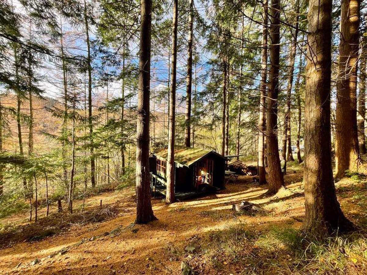 The log cabin in woodland near Llangollen