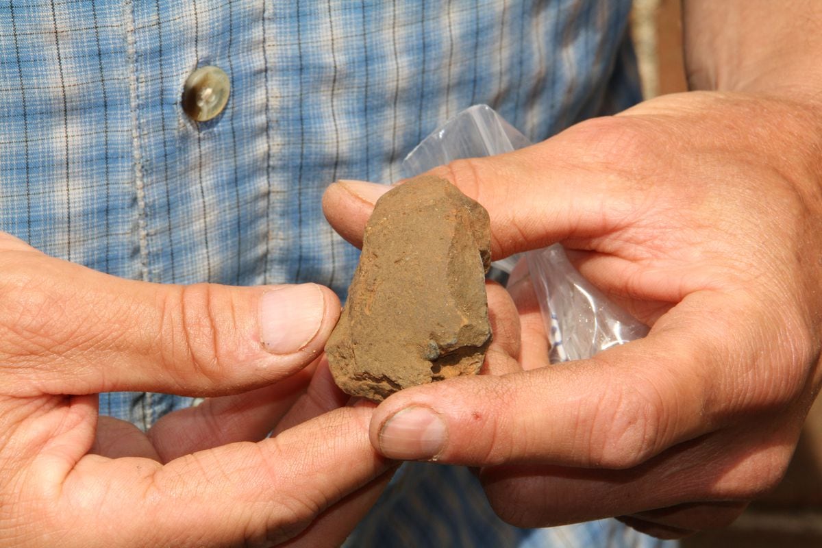 A Saxon loom weight was discovered