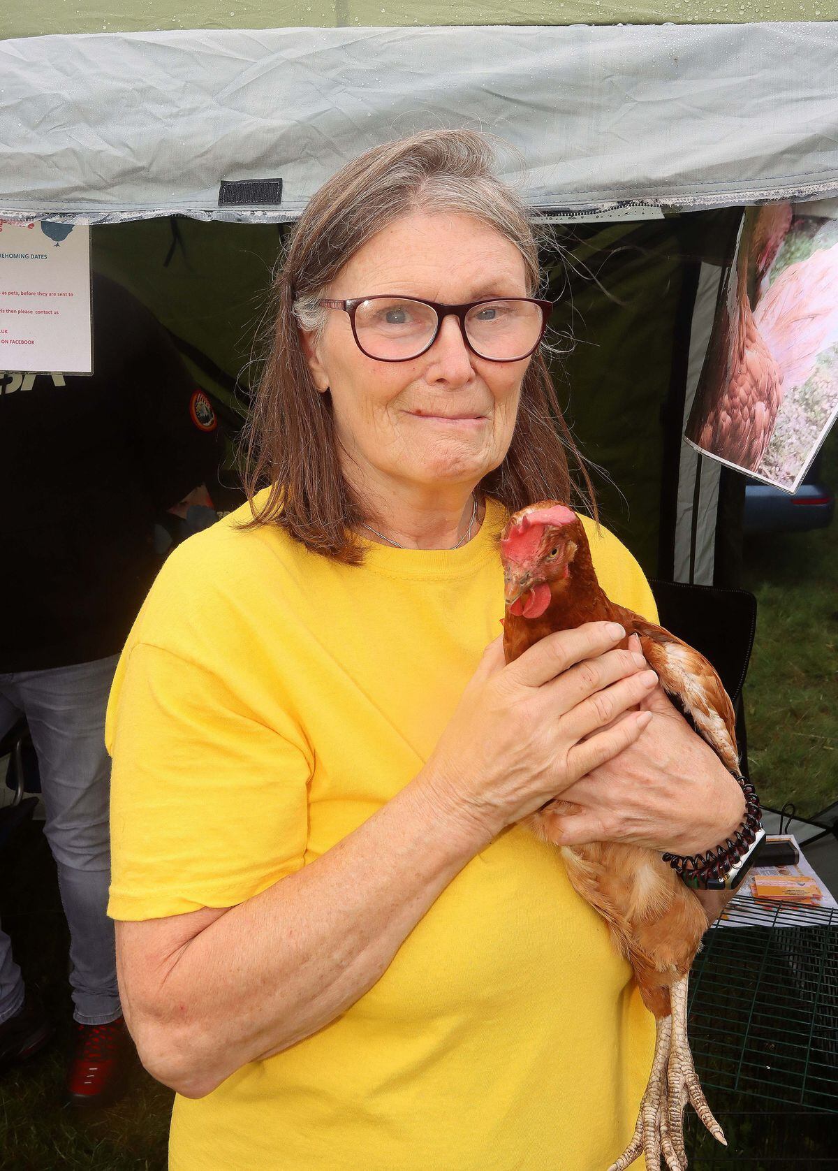 Linda Fulwell, from Horsehay, Telford, a trustee of Red Hen Rehoming, which re-homes former battery hens