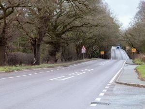 Councillors have called for average speed cameras along the length of the A41